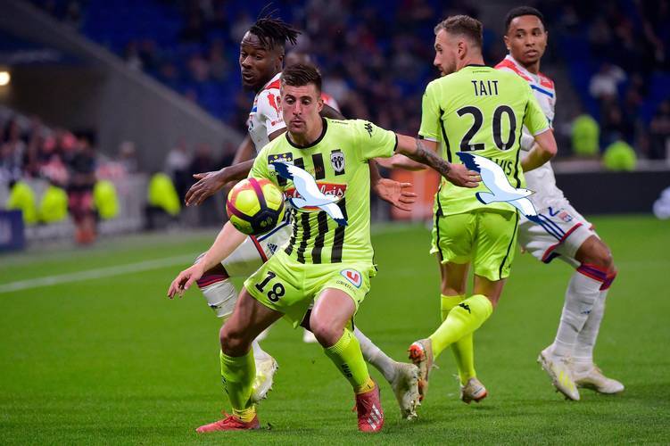 主场涅槃战?法甲对决:里昂能否撕碎图卢兹客场不败防线?